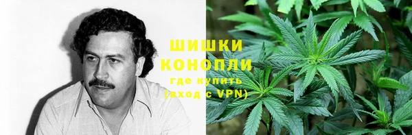 мдпв Волосово
