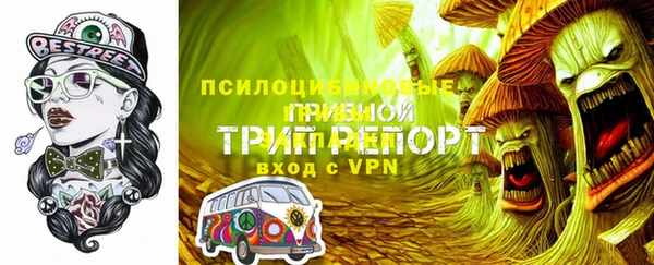 мдпв Волосово