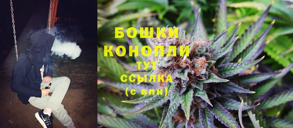 мдпв Волосово