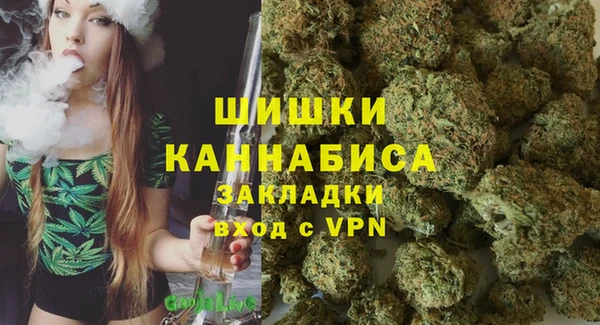 мдпв Волосово