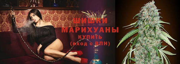 мдпв Волосово