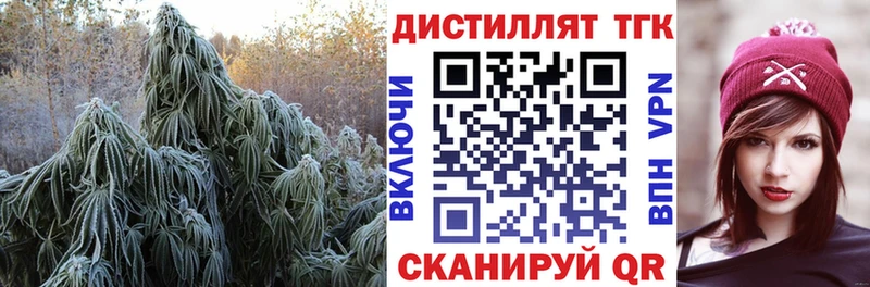 купить закладку  OMG онион  ТГК гашишное масло  Подпорожье 